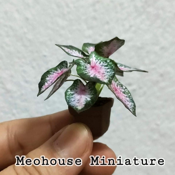 Casa de muñecas Miniaturas HECHO A MANO Papel Planta Decoración Jardín 1 Psc por Meohouse