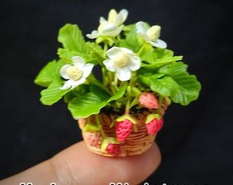 Dollhouse Miniatures HANDMADE Flower Clay Garden Stawberry Plant in pot