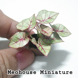 Dollhouse Miniatures HANDMADE Paper Plant Decoration Garden  1 Psc by Meohouse