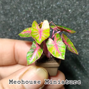 Puppenhaus Miniaturen HANDMADE Papier Blätter Pflanzen Dekoration Garten 1 Stk von Meohouse