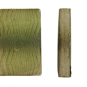 Lucile - Epic Poem Book - Ca. 1917 - Rare Alligator Edition - Some Wear To Cover - Great Reading for a Winters Night!