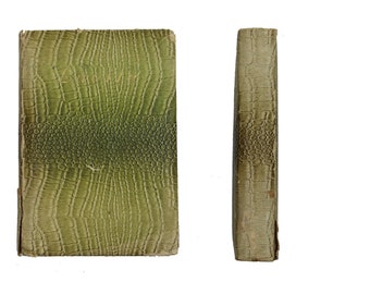 Lucile - Epic Poem Book - Ca. 1917 - Rare Alligator Edition - Some Wear To Cover - Great Reading for a Winters Night!
