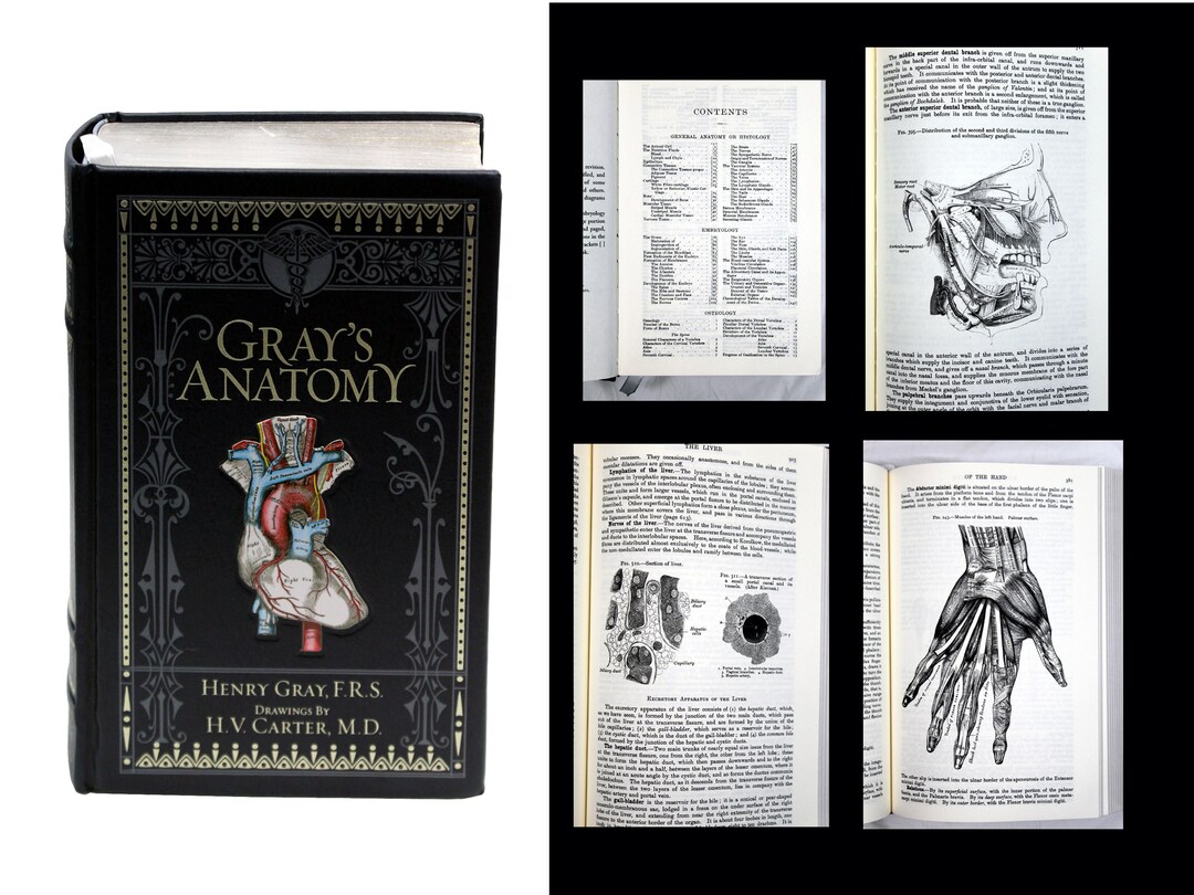 Gray's Anatomy Book in Excellent Condition Book Marker Ribbon Silvered