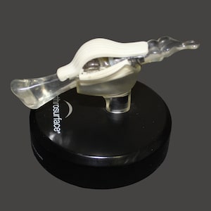 Finger Bone Model Finger Bone Display of Human Finger Display for Doctor Finger Display for Nurse Surgical Display of Finger Human Bone