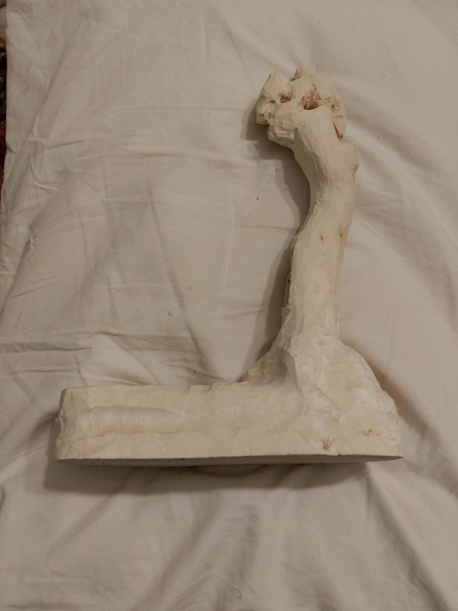 Tom Wolfe Original Roughout Tree Treed Coon Raccoon Etsy