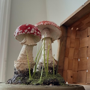 May include: Two decorative mushrooms with red caps and white spots. The mushrooms have white stems and are surrounded by green grass and moss. The background includes a wooden basket.