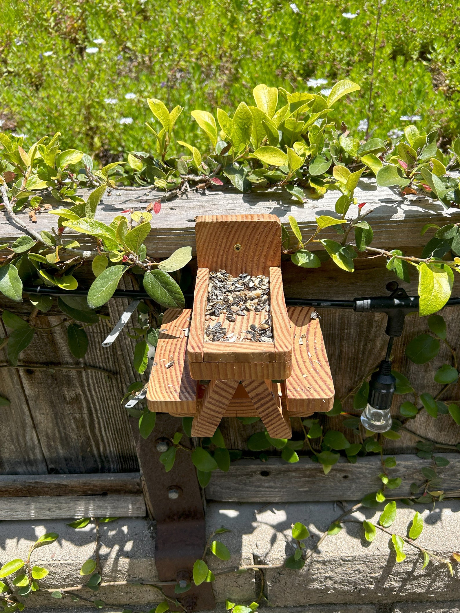 Small Squirrel Picnic Table Etsy