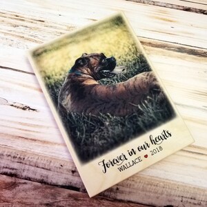 Pet Memorial, In Memory of Dog, Gift For Pet Loss, Dog Memorial Gift, Loss Of Dog, Dog Loss Gift, Pet Memorial Gift, Cat Memorial
