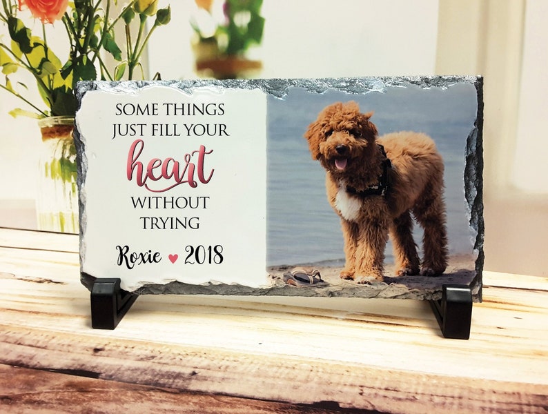 Memorial Gift in Memory of Dog Gift for Pet Loss Dog Etsy