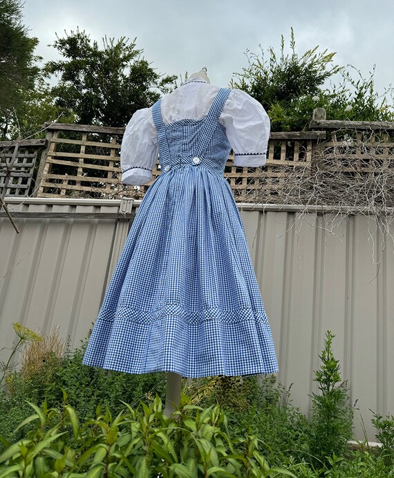 blue checkered dress dorothy Farm girl inspired Blue & White Checkered Dress Costume Cosplay Adult –  MJcostume main image 0