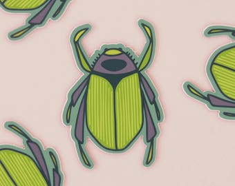 Beetle Vinyl Sticker