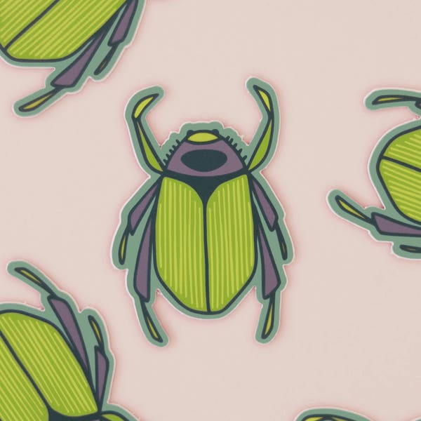 Beetle Vinyl Sticker