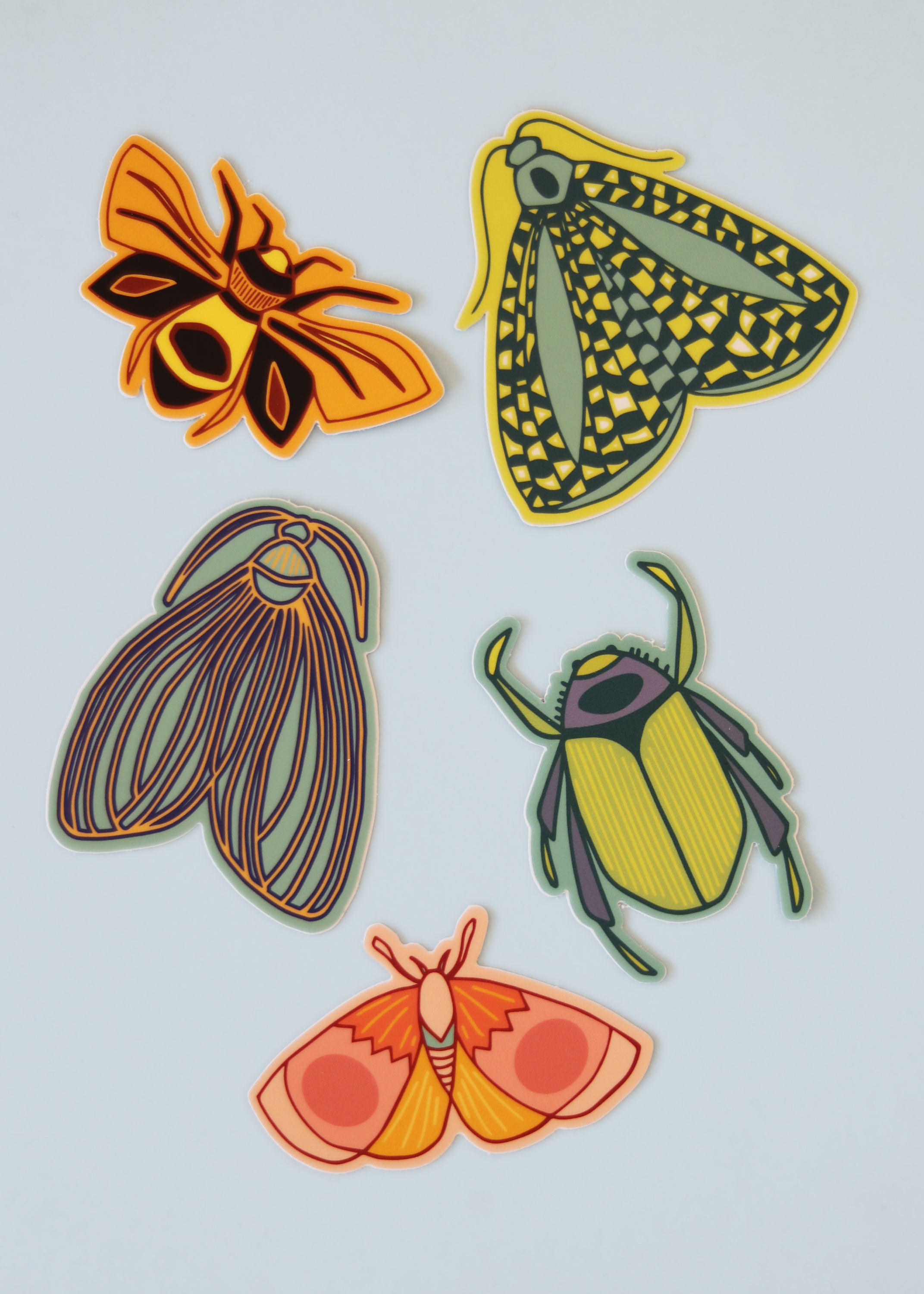 Insect Vinyl Sticker Pack 5 stickers | Etsy