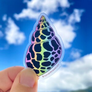 Puede incluir: Una pegatina transparente con un diseño de concha iridiscente arcoíris. La concha es negra con manchas blancas. La pegatina tiene el texto "SpindriftHawaii.com" en la esquina inferior derecha.