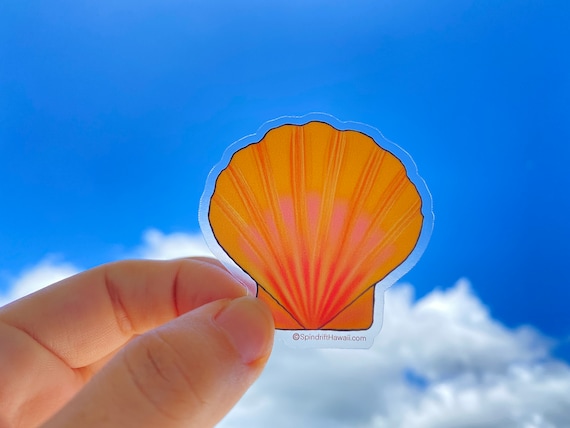 Classic Sunrise Shell Clear 2” Vinyl Die Cut Sticker