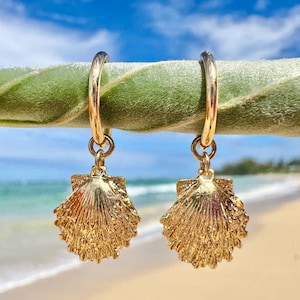 May include: Gold-colored hoop earrings with seashell charms. The earrings are suspended from a green stem against a backdrop of a beach and blue sky. The seashell charms have detailed textures.