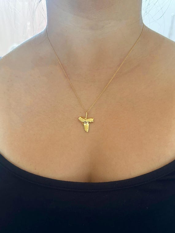 Gold Vermeil Shark Tooth Charm Necklace on 14K Gold Filled Chain