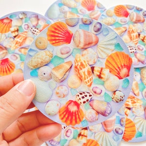May include: A set of six round coasters featuring a light blue background and an assortment of colourful seashells. The coasters are ideal for protecting surfaces from spills and scratches.