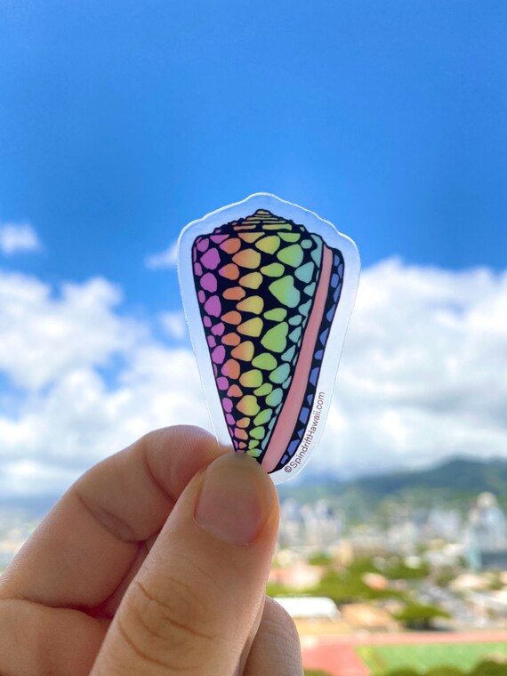 Rainbow Marble Cone Shell Clear 2” Vinyl Die Cut Sticker