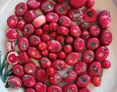 Articolo da questo negozio