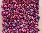 Articolo da questo negozio