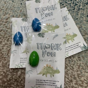 Dinosaur Egg Hatching Party Favors: Kids Birthday Cards