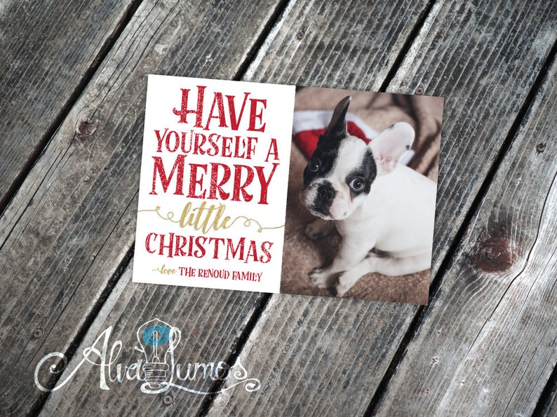 Have yourself a merry little christmas Photo Christmas Card Christmas Card Photo Holiday card photo card christmas photo card image 4