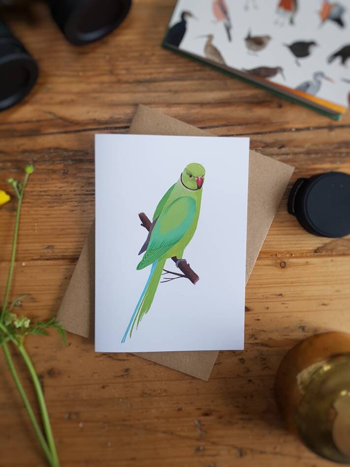 Parakeet Bird Art Eco Friendly Greeting Card Bird Card Gift Etsy