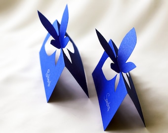 Butterfly Wedding Place Cards with Handwritten names, set of 10. Event cards, Decorations, Wedding Escort Cards , Butterfly Place Card