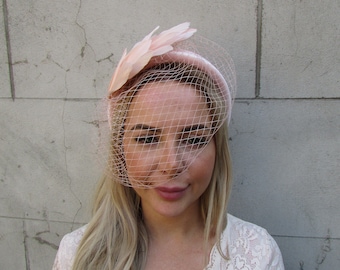 May include: A pink headband with a delicate veil and a feather accent. The headband is made of velvet and has a soft, feminine look.