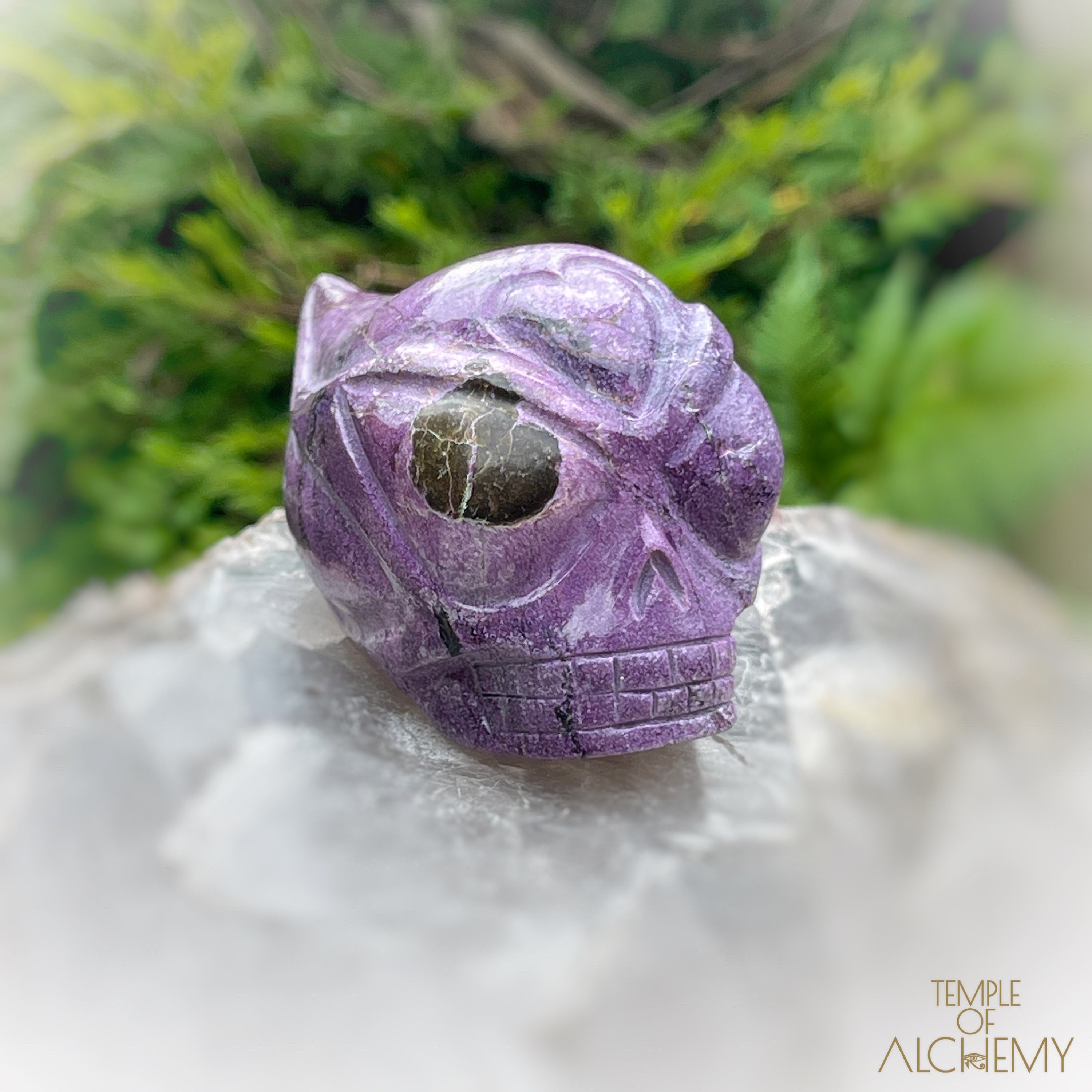 Star traveler skull - Etsy 日本