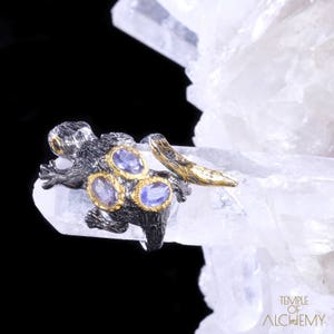 Gecko Ring * Gratis grootte * Iolite + blauwe saffier * gratis DHL Express verzending * 7810gr4
