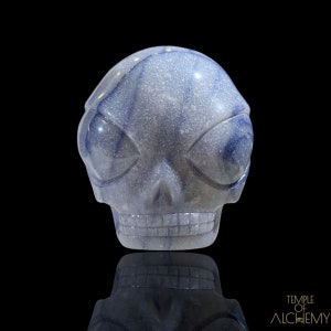 Può includere: Una scultura a forma di teschio in cristallo blu e bianco con grandi orbite ovali e una mascella dettagliata. La scultura è ambientata su uno sfondo nero, con un riflesso visibile sotto. La scultura è del Temple of Alchemy.
