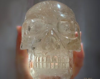 Citrine Crystal Skull * Removes Blocks to Abundance * L18.fc40