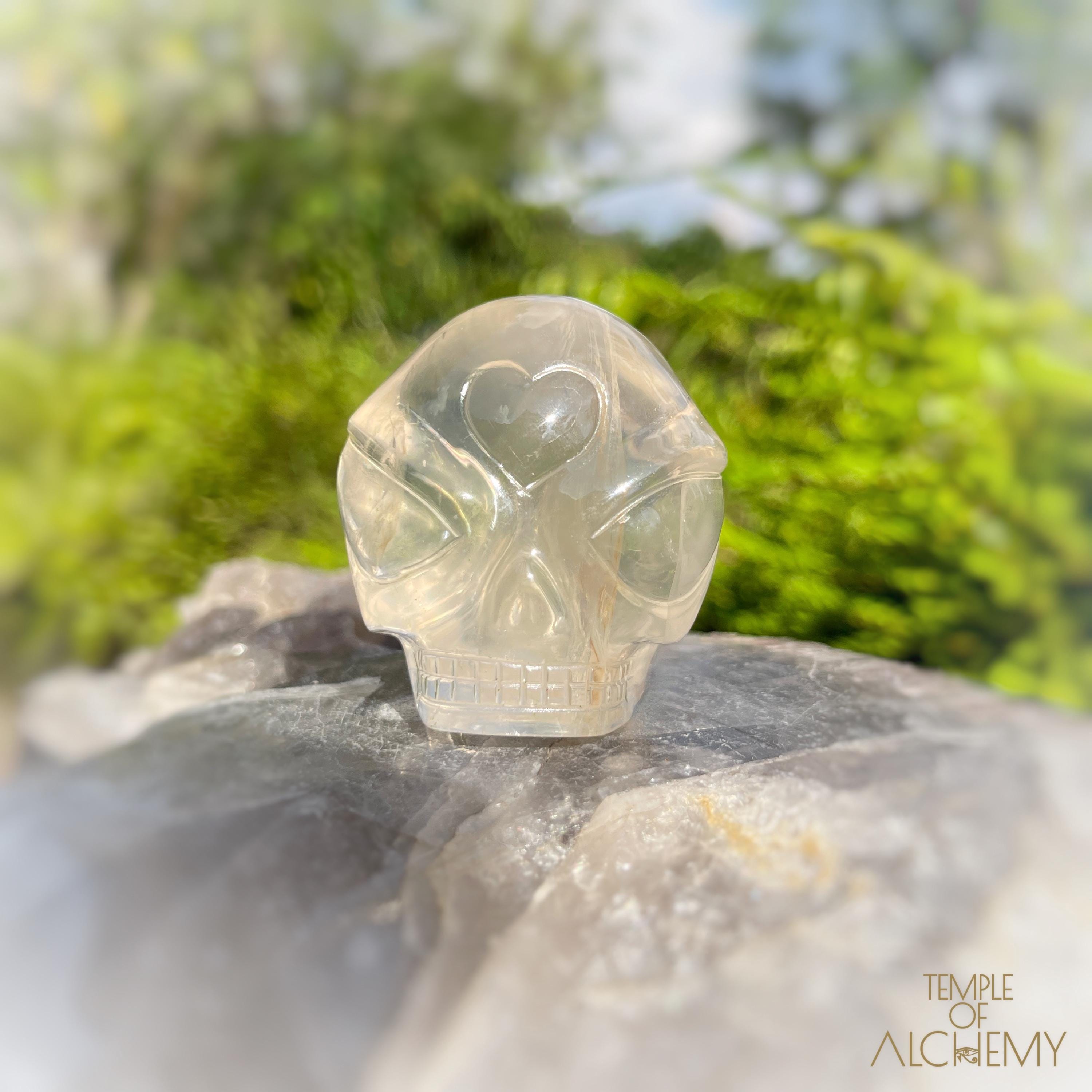 Star traveler skull - Etsy 日本