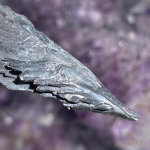 May include: A close-up of a dark gray, pointed, and textured piece of black tourmaline. The crystal has a rough, natural surface.
