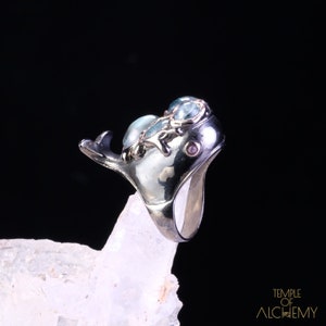 Walvis ringmaat 6.5 * gratis DHL Express verzending * 81026gr1
