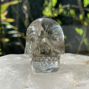 Puede incluir: Una escultura de calavera de cristal transparente con rasgos faciales detallados, que incluyen cuencas de los ojos, una cavidad nasal y dientes. La calavera se exhibe sobre una superficie blanca, con un fondo verde borroso. Es un objeto decorativo.