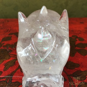 Special 3rd Eye Rainbow Dragon & Crystal Skull : Citrine *L13.39