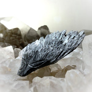May include: A single, large, dark gray, metallic, crystal with a jagged, layered, and textured surface. The crystal is resting on a bed of white, quartz crystals.