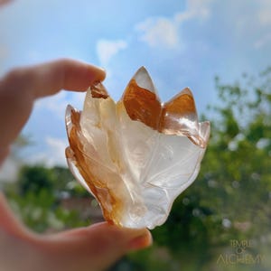 Girasol Rose Quartz x Golden Healer Dragon * L29.dr35