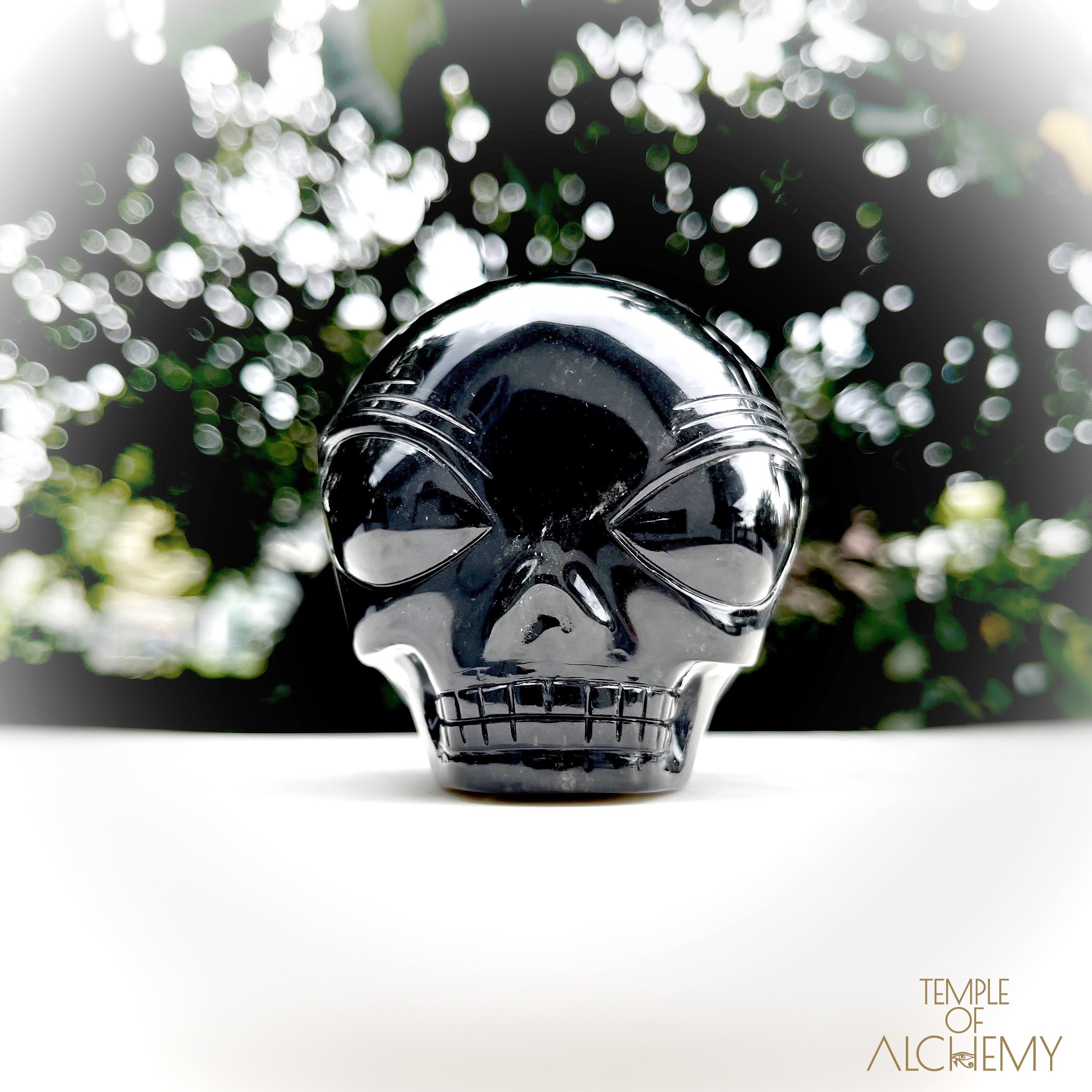 The Protector * Black Obsidian * Star Child Crystal Skull * L23.sc4