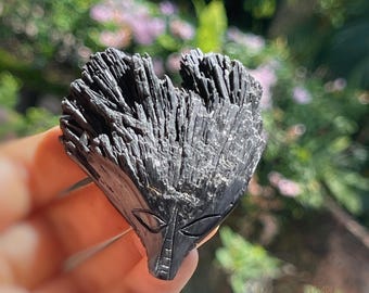 Black Kyanite Dragon * L30.k107