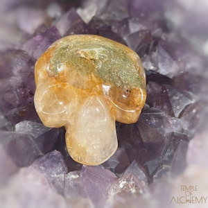 Golden Healer x groene chloriet kristallen schedel * L27.x10