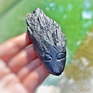 Black Kyanite Dragon * L30.k61