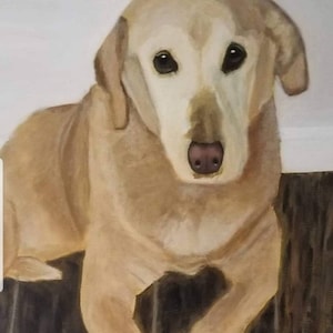 beställningsmålning - specialmålad hundmålning från foto - specialmålad kattmålning - oljemålning av hund