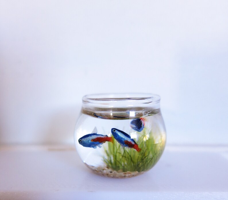 Miniature fish bowl with 3 neon tetra fish the seahorse stand Etsy