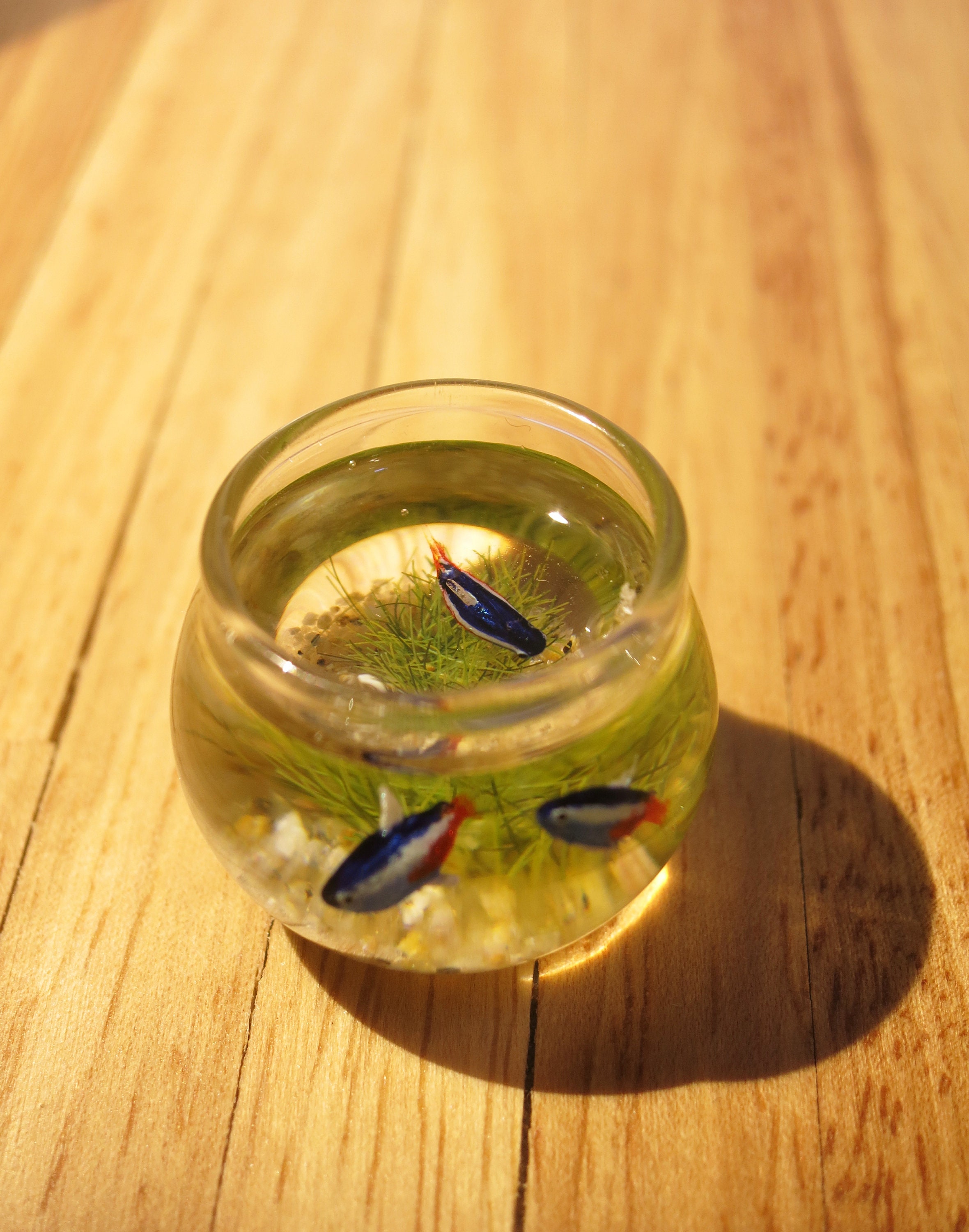 Miniature fish bowl with 3 neon tetra fish the seahorse stand Etsy