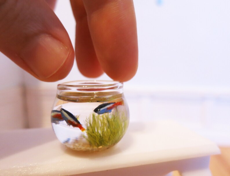 Miniature fish bowl with 3 neon tetra fish the seahorse stand Etsy