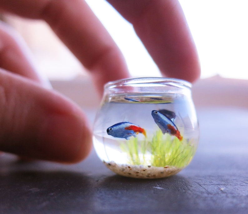 Miniature fish bowl with 3 neon tetra fish the seahorse stand Etsy